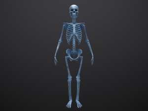 substance skeleton army 3D Model