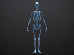 substance skeleton army 3D Model