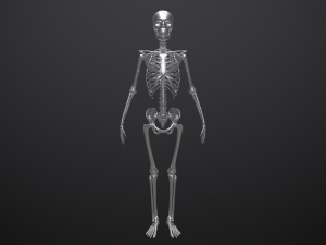 substance skeleton army 3D Model
