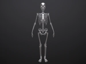 substance skeleton army 3D Model