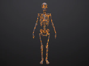 substance skeleton army 3D Model
