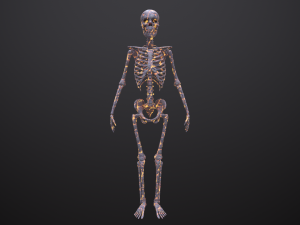 substance skeleton army 3D Model