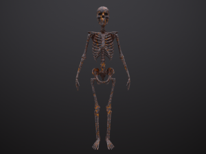 substance skeleton army 3D Model