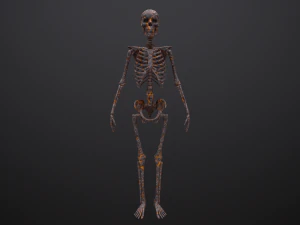 substance skeleton army 3D Model