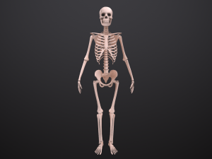 substance skeleton army 3D Model