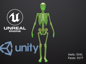 substance skeleton army 3D Model