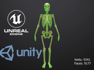 substance skeleton army 3D Model