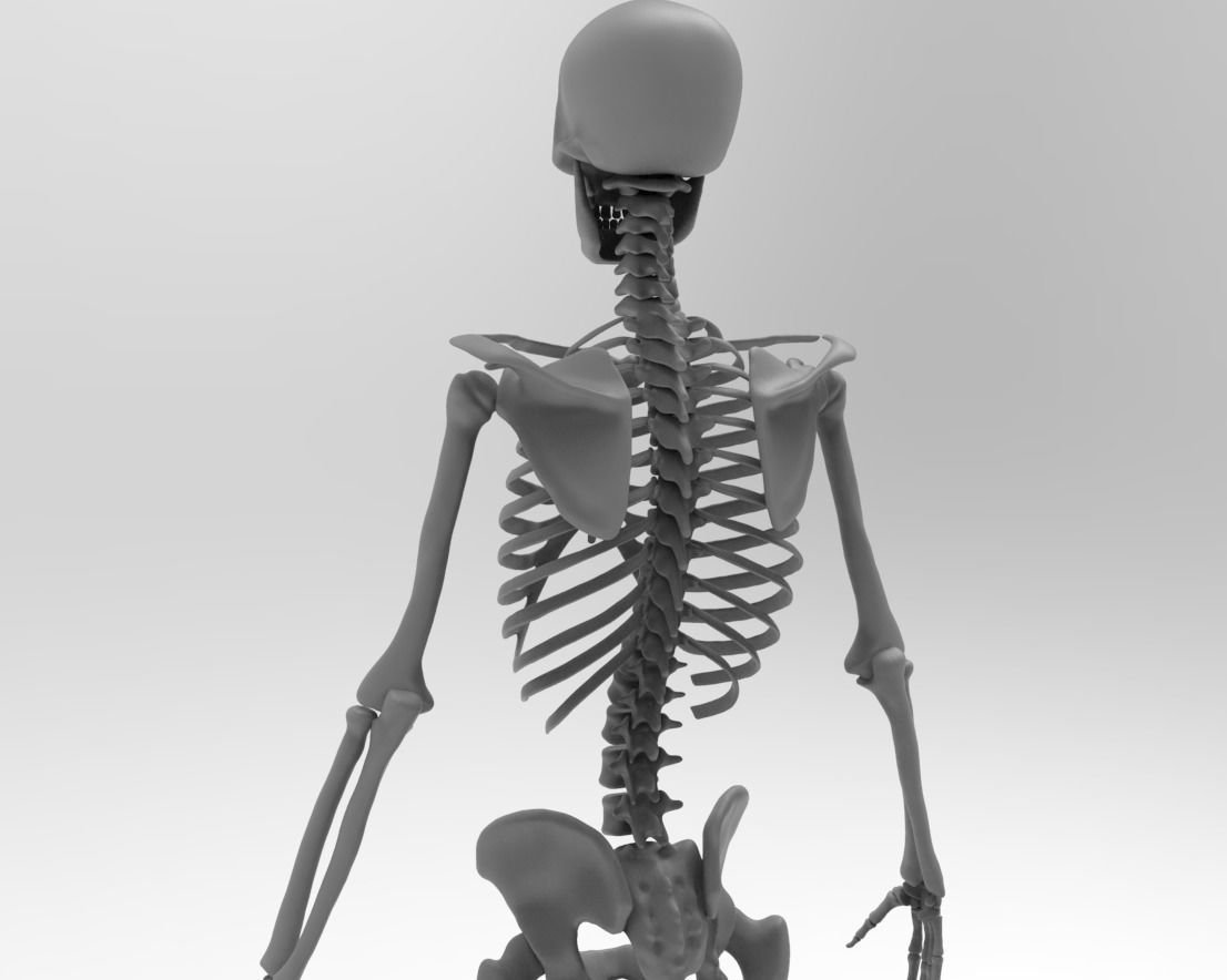 Skeleton 2 0 600m