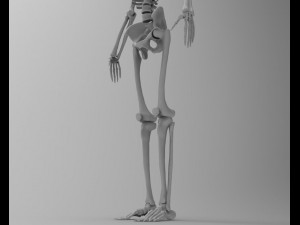 skeleton 3D Model