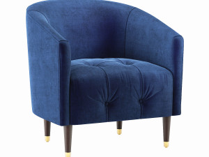 Ayesha Tufted Accent Chair Model 3D