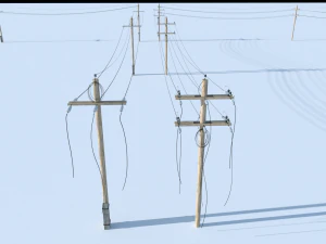 posts with wires 3D Model