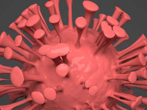 covid-19 corona virus- virus 3D Model