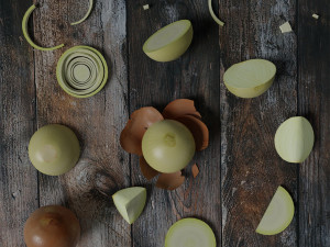 low poly onion photorealistic scene 3D Model