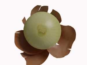 low poly onion photorealistic scene Modello 3D