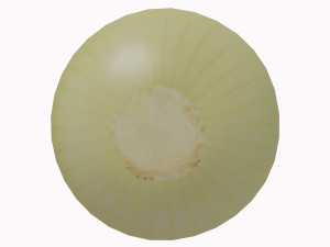 low poly onion photorealistic scene Modello 3D