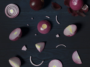 low poly red onion composition 3D Model