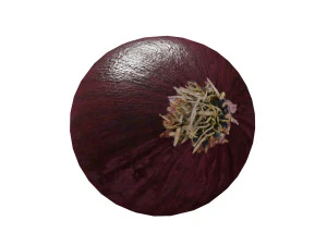 low poly red onion composition 3D Model