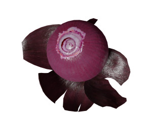 low poly red onion composition Modelo 3D