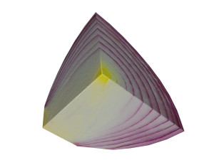 low poly red onion composition Modelo 3D