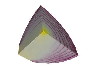 low poly red onion composition 3D Model