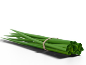 green onion low poly photorealistic scene low-poly 3D 模型