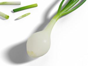 green onion low poly photorealistic scene low-poly 3D 模型