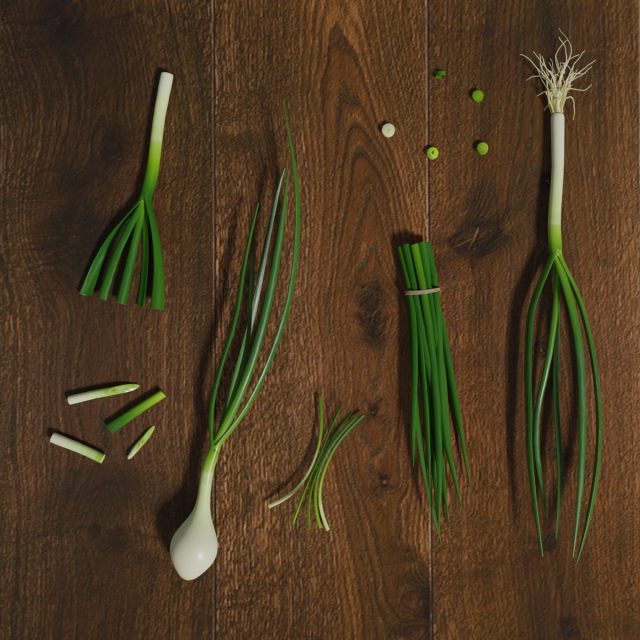 green onion low poly photorealistic scene low-poly 3D 模型 .c4d .max .obj .3ds .fbx .stl .blend 