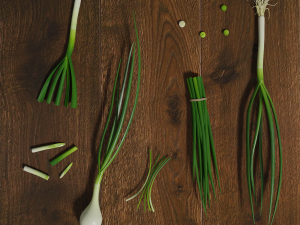 green onion low poly photorealistic scene low-poly 3D Model