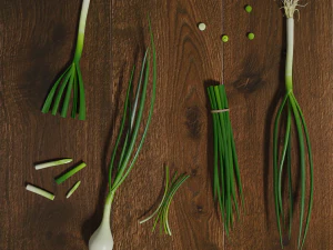 ねぎの低ポリフォトリアルなシーンの低ポリ 3Dモデル