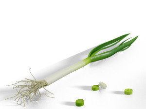 green onion low poly photorealistic scene low-poly 3D 模型