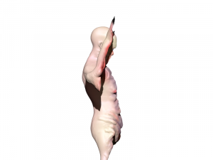 pale man 3D 프린트 모델