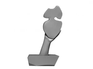 şok kadın 3D Baskı Modeli