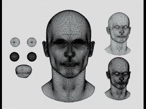 male base mesh Modelo 3D