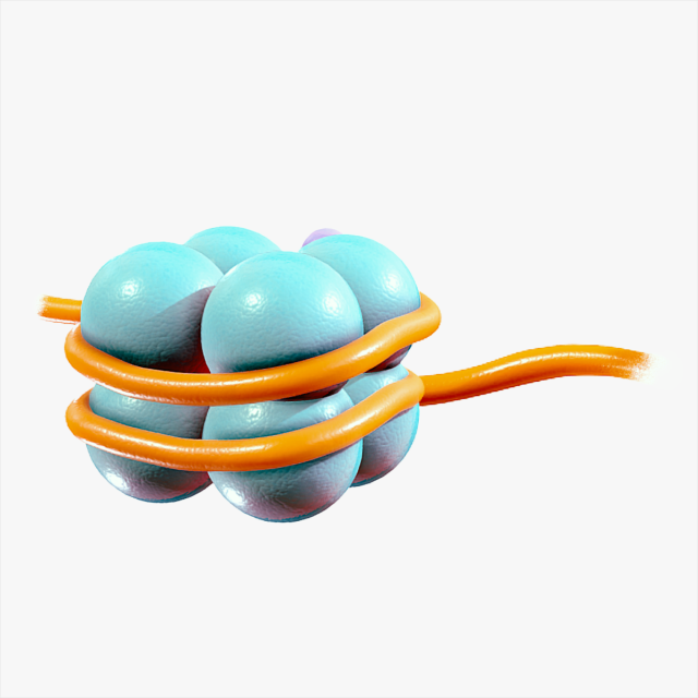 Histone Structure Modelo 3D .c4d .max .obj .3ds .fbx .stl .blend 