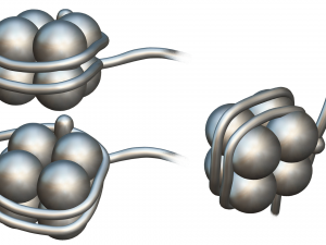 Histone Structure Modelo 3D