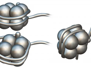Histon-structuur 3D Model