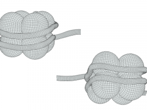 Histone Structure Modelo 3D