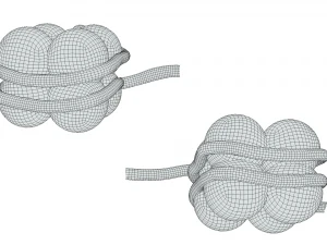 Histon-structuur 3D Model