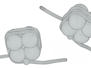Histon-structuur 3D Model