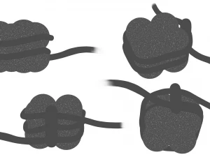 Histon-structuur 3D Model