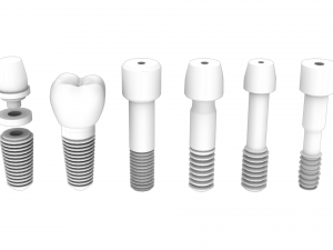 Dental Implant Pack - 6 in 1 3D-Modell