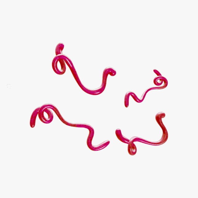 Ebola Virus 3D-Modell .c4d .max .obj .3ds .fbx .stl .blend 