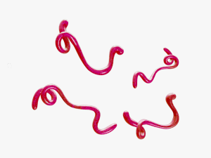 Ebola Virus 3D 모델