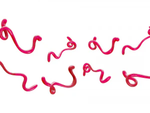 Ebola Virus 3D Model