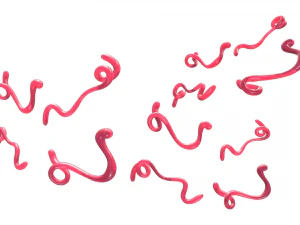 Ebola Virus 3D Model