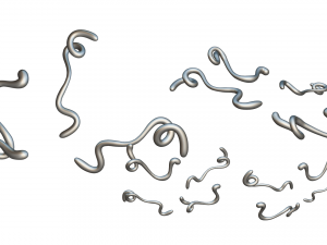 Ebola Virus 3D-Modell