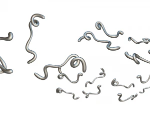 Ebola Virus 3D Model