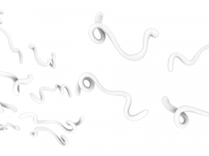 Ebola Virus 3D-Modell