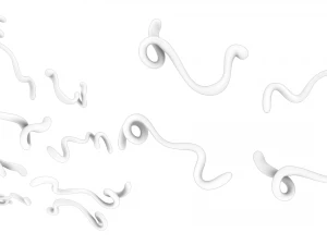 Ebola Virus 3D Model