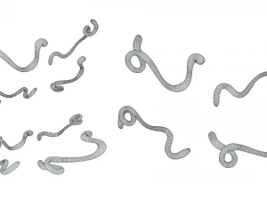 Ebola Virus 3D Model